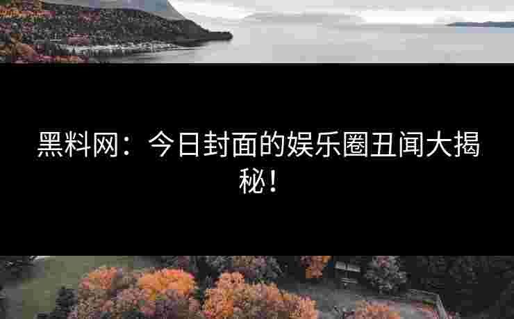 黑料网：今日封面的娱乐圈丑闻大揭秘！