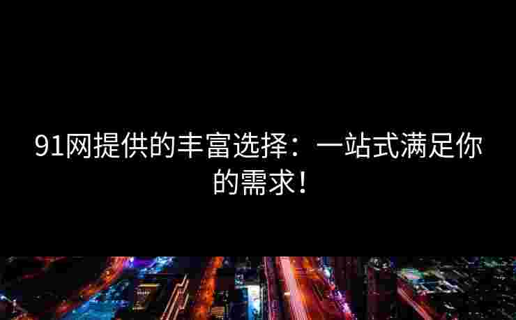 91网提供的丰富选择：一站式满足你的需求！